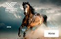 Image of Horse Debit Card
